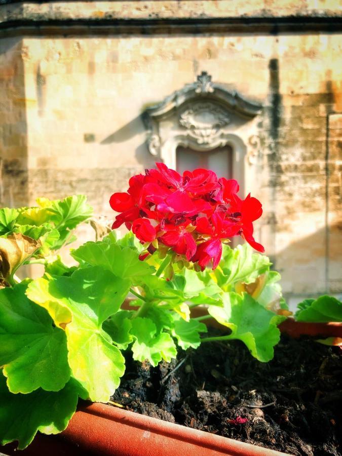 レッチェ Palazzo Salia Bed & Breakfast エクステリア 写真